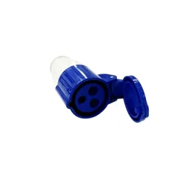 ANTARION Fiche femelle P17