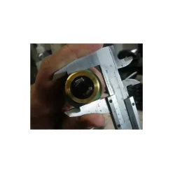 EA Sonde antigel avec thermostat 12V