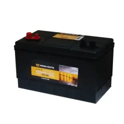 MINN KOTA Batterie Calcium PRO110