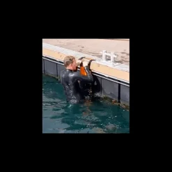 OUTILS OCEANS Echelle de secours ponton Magic-Reboard