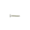 TRIGANO Vis tôle ø 2,84 mm inox T.F bombée