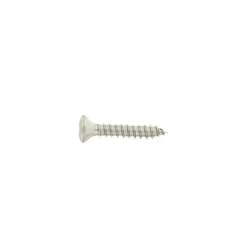 TRIGANO Vis tôle ø 2,84 mm inox T.F bombée